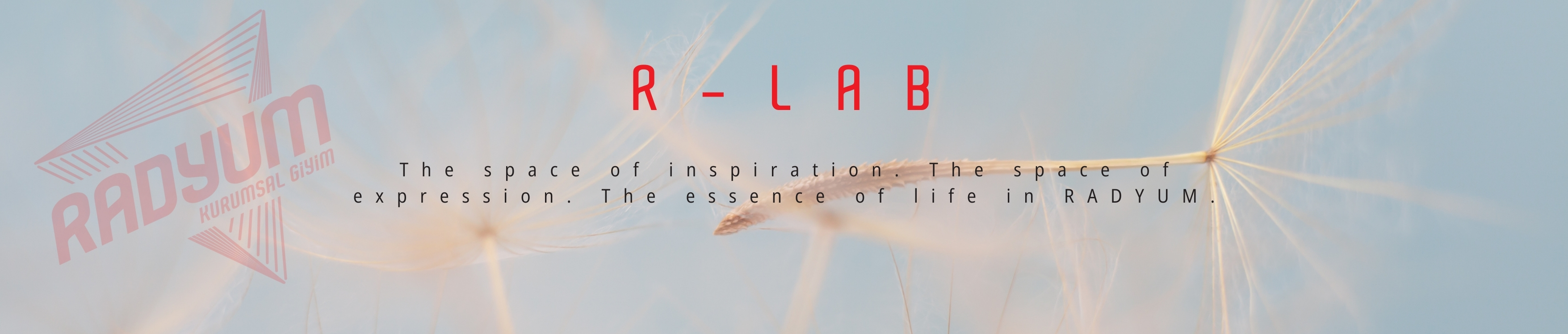 R-Lab