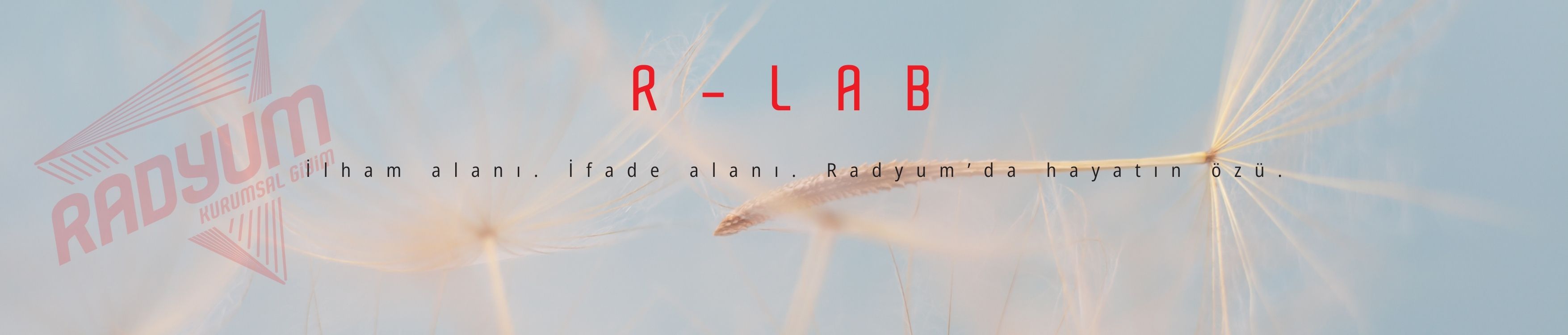 R-Lab